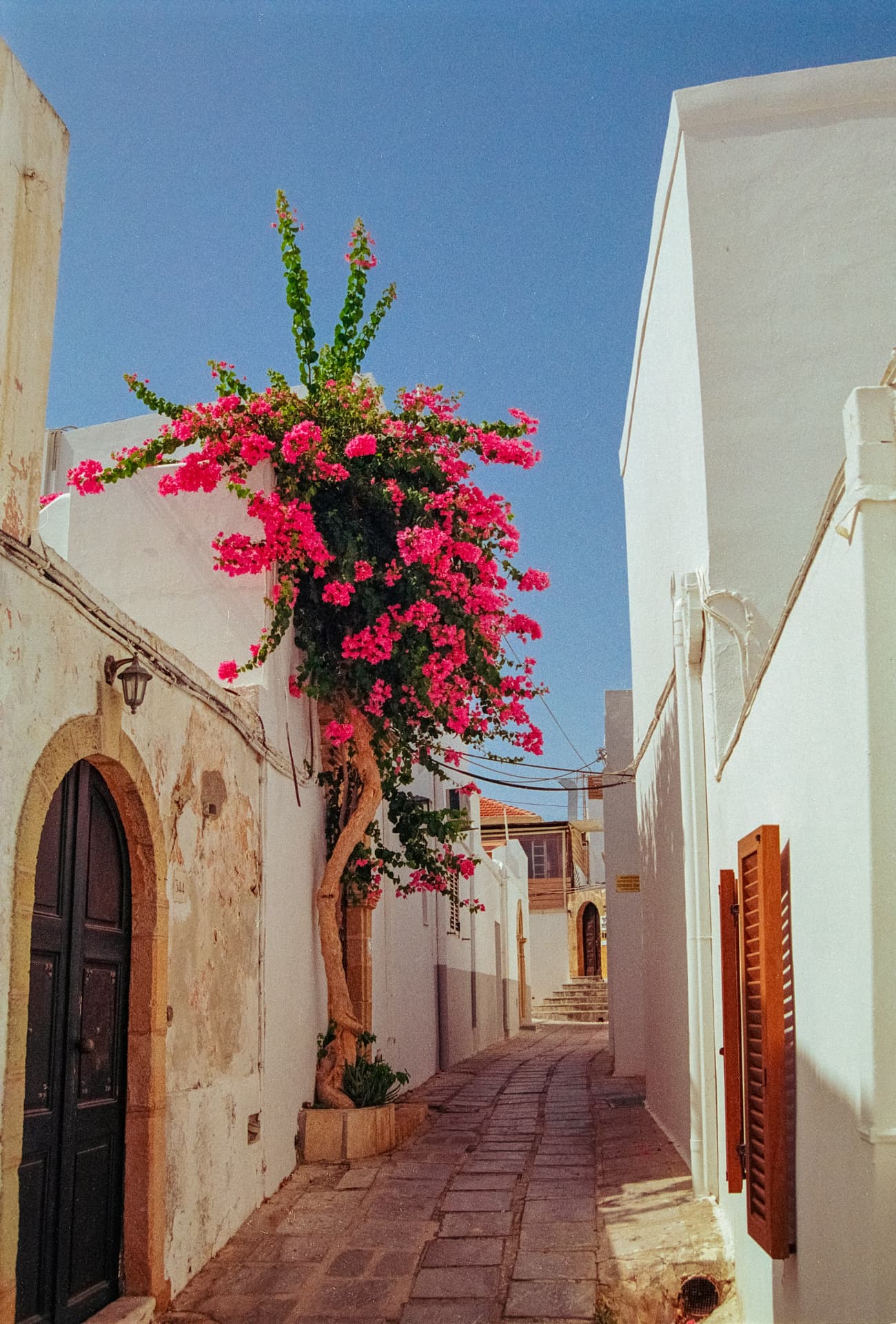 Rhodes